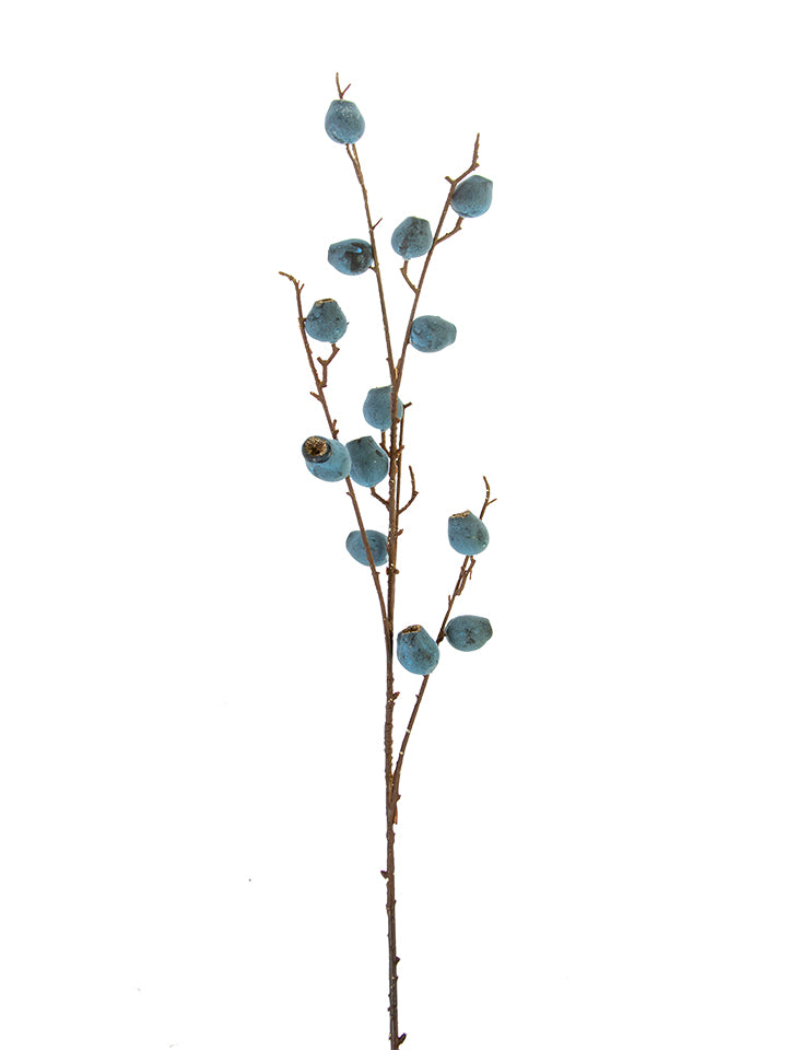 Blueberry Branch