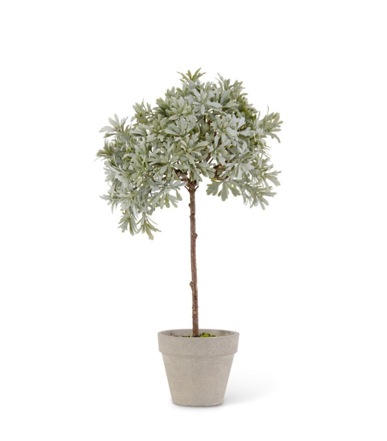 Potted Herb Topiary