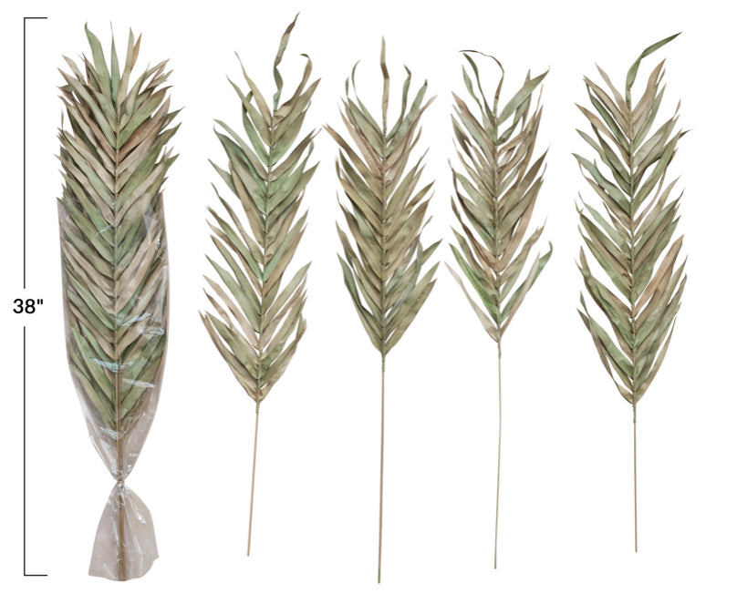 Dried Fountain Palm Bunch