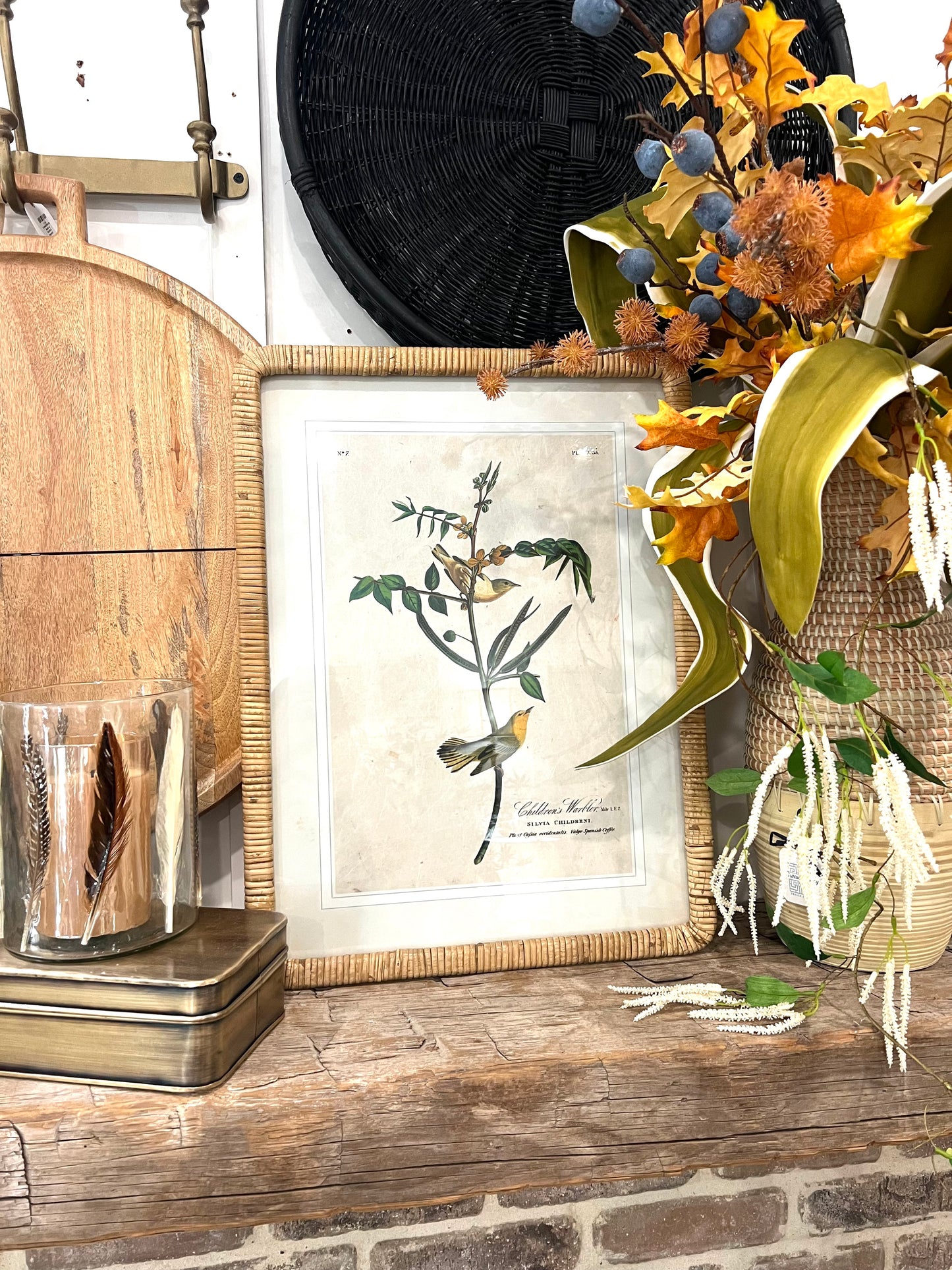 Bird Print In Rattan Frame