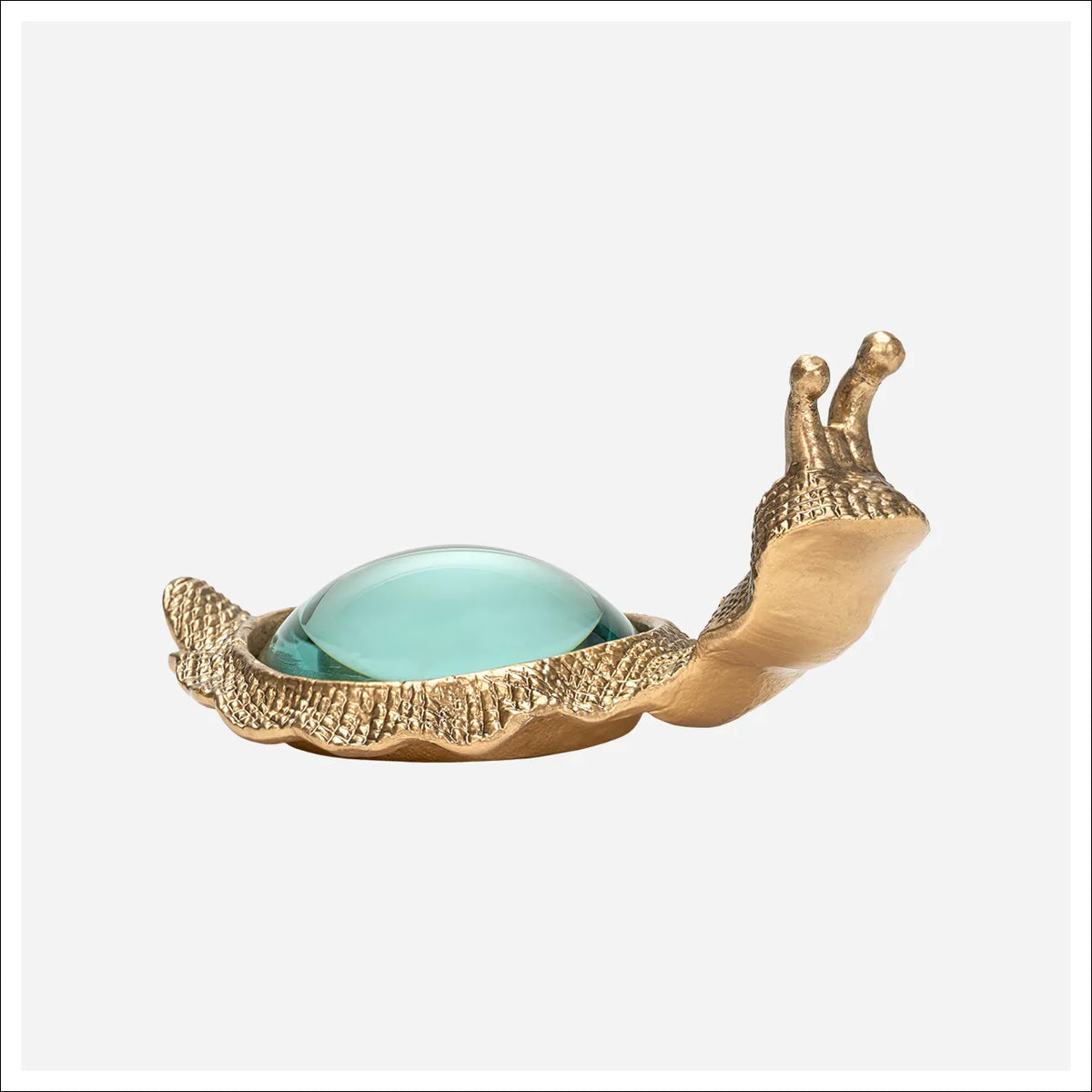 Snail Magnifying Glass
