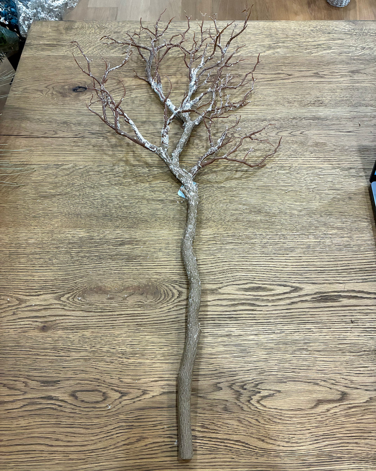 Snowy manzanita branch