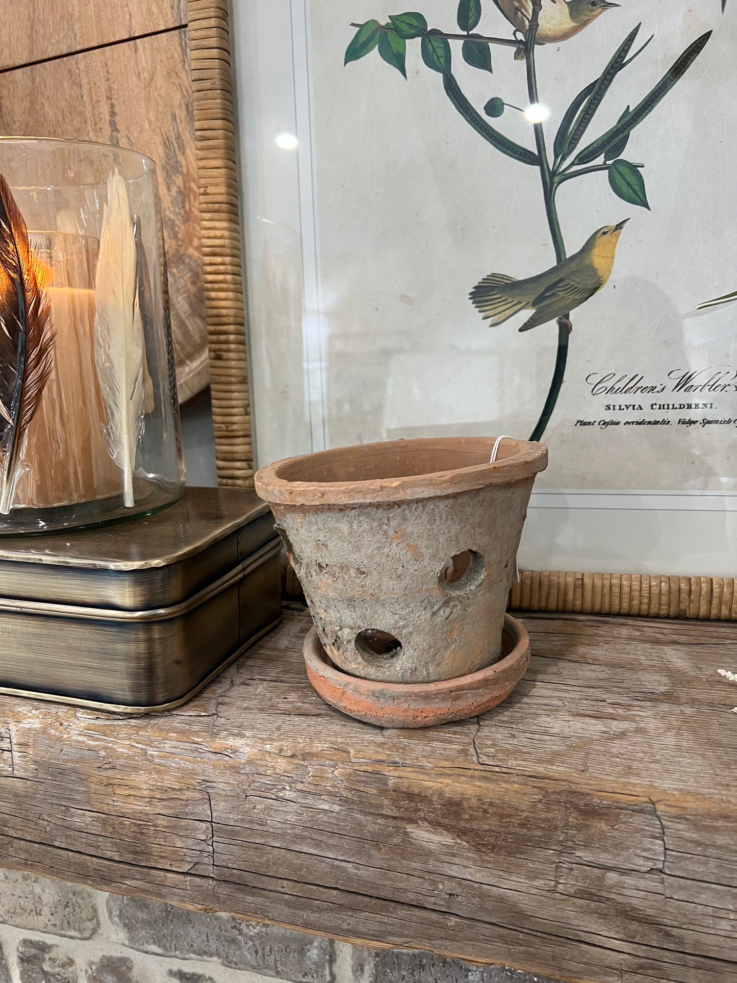Terracotta orchid pot w/saucer
