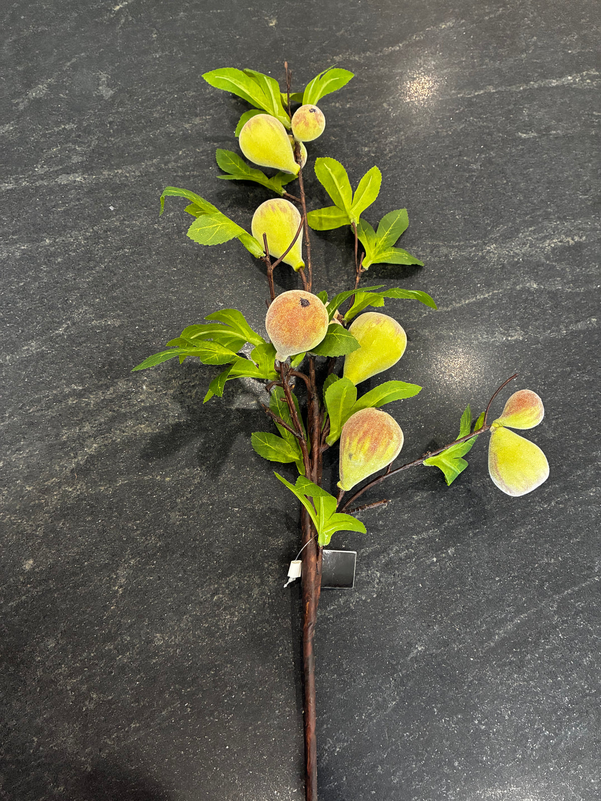 Flocked fig stem