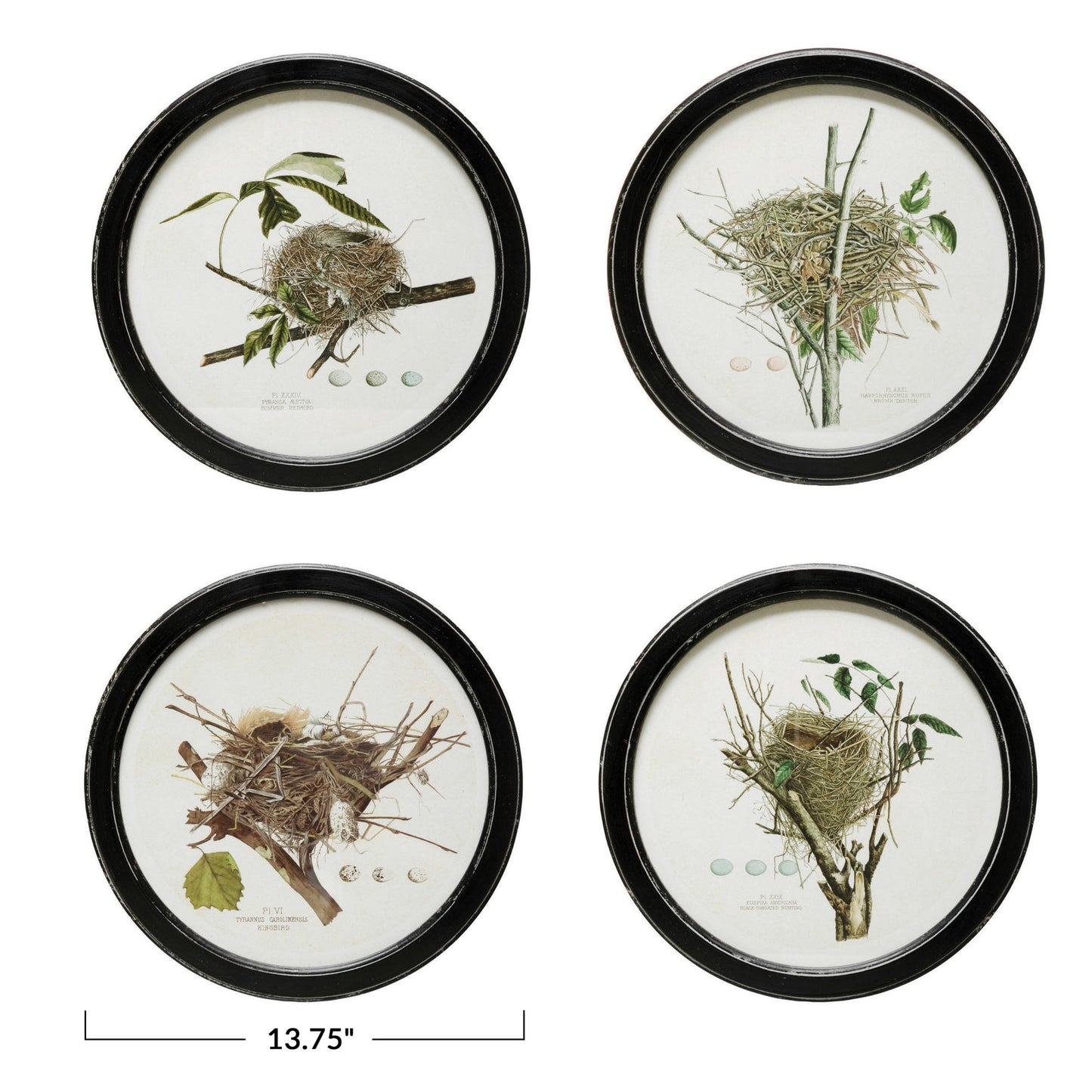 Round framed nest print
