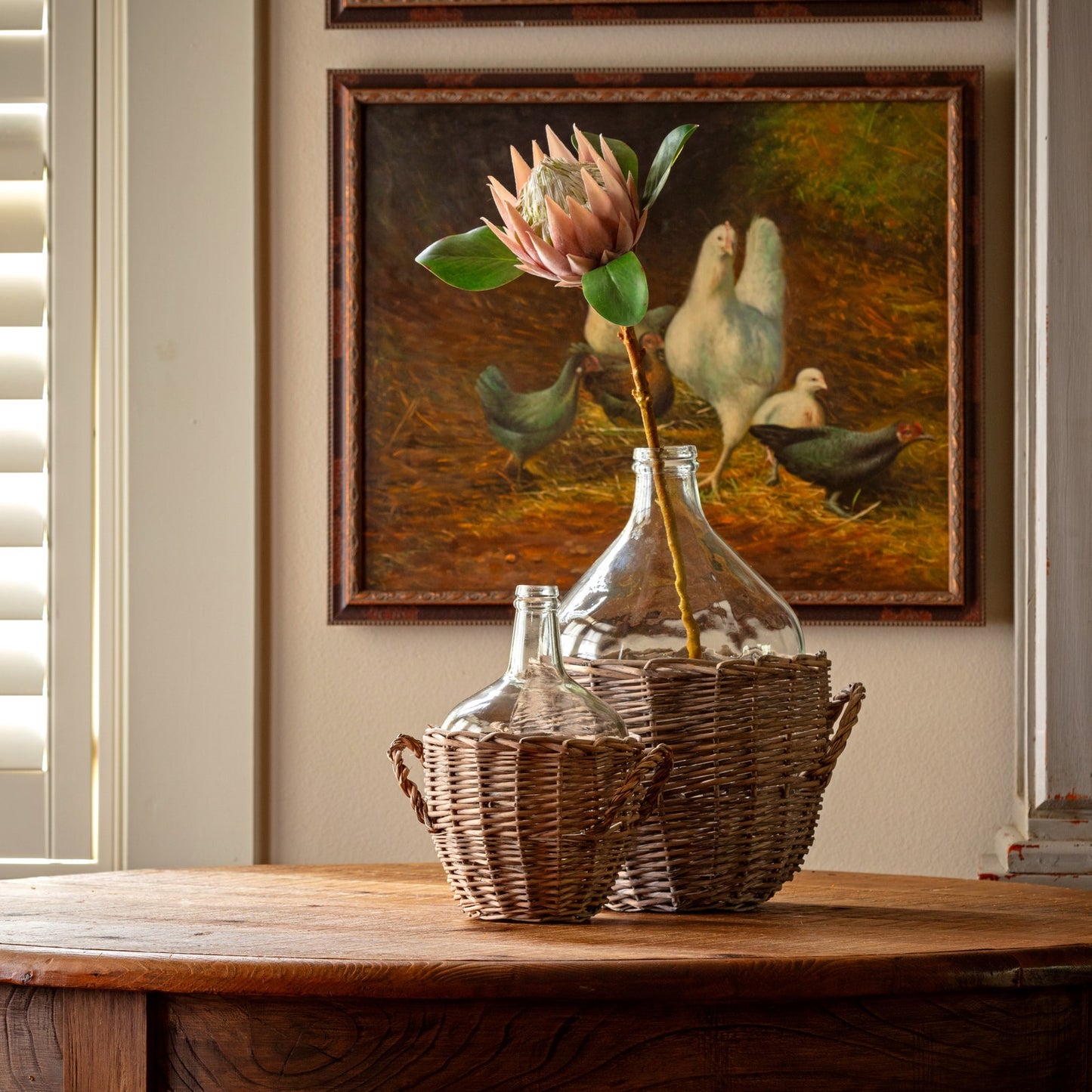 Protea large blush