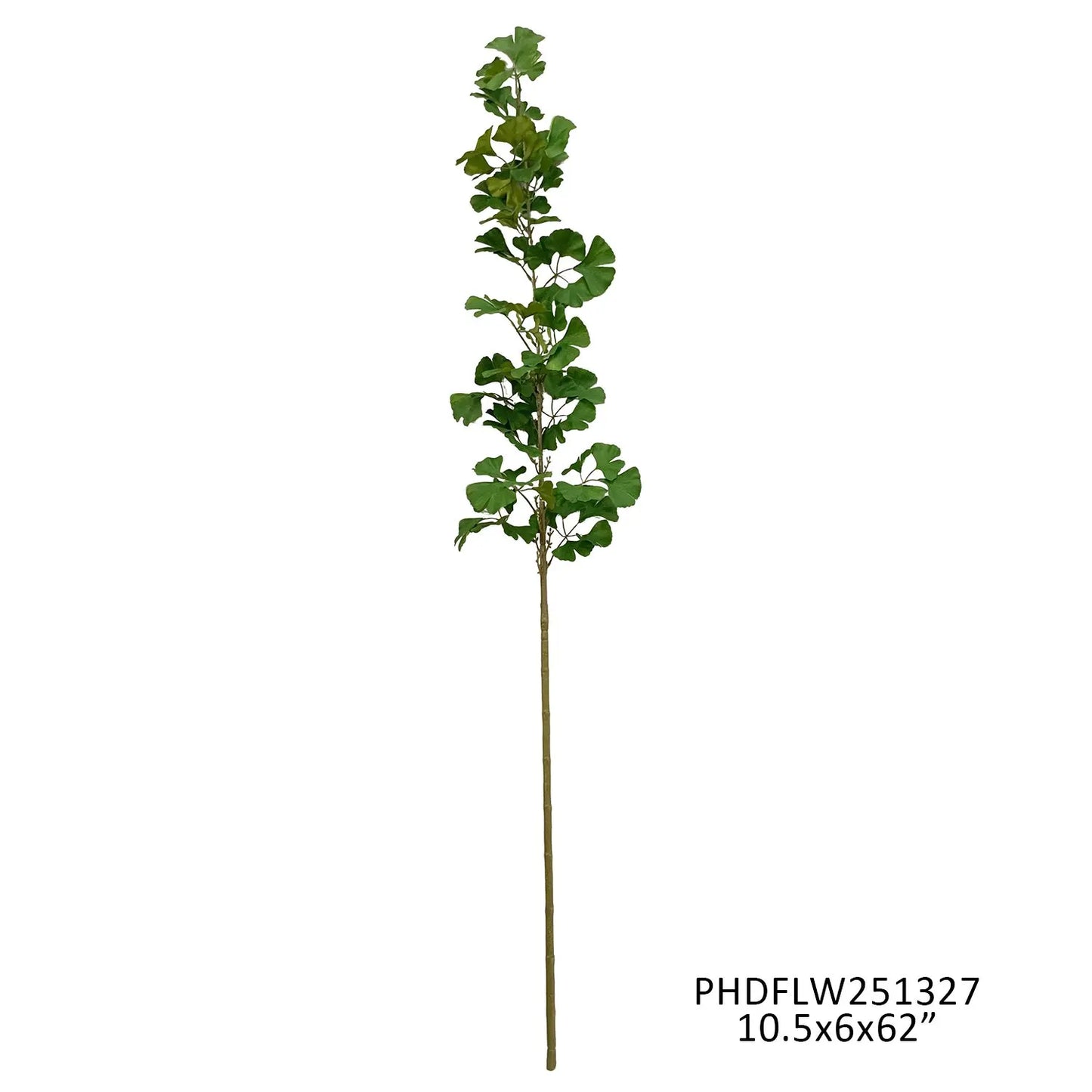Estate Ginko Branch