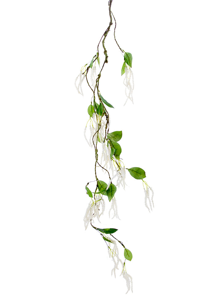Hanging Amaranthus Vine Cream