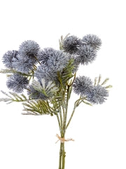 Globe Thistle Blue