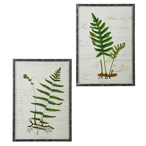 Black Bamboo Framed Fern Print