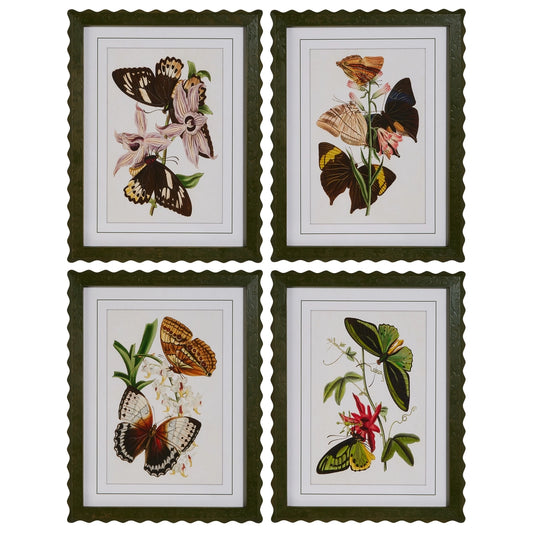 Butterfly Framed Wall Art (set four)