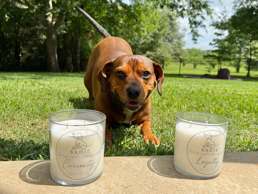 "Sadie" Pet Rescue Candle Line
