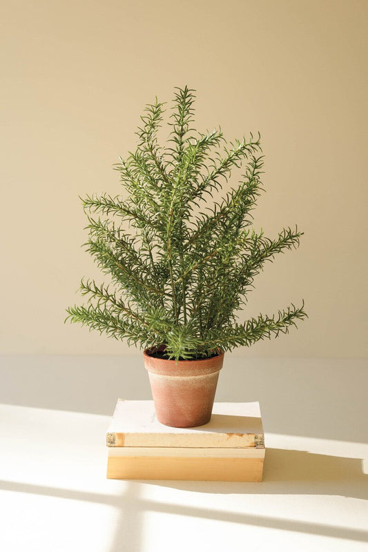 Artificial Rosemary Plant