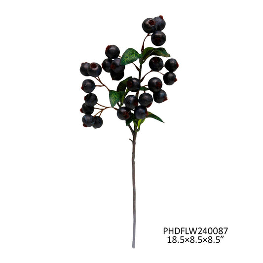 Crabapple Blueberry