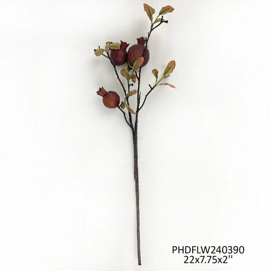 Pomegranate Branch Garnet