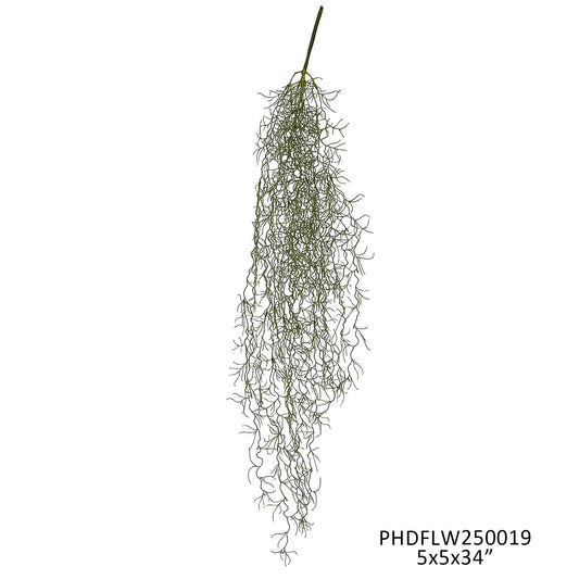 Hanging Spanish Moss Stem