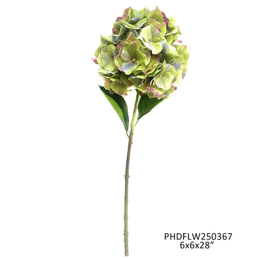 Jardin Hydrangea Stem Late Season Multi-Color