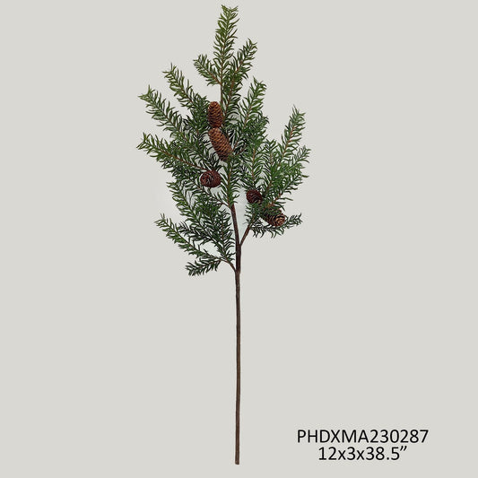 Douglas Fir Branch Green