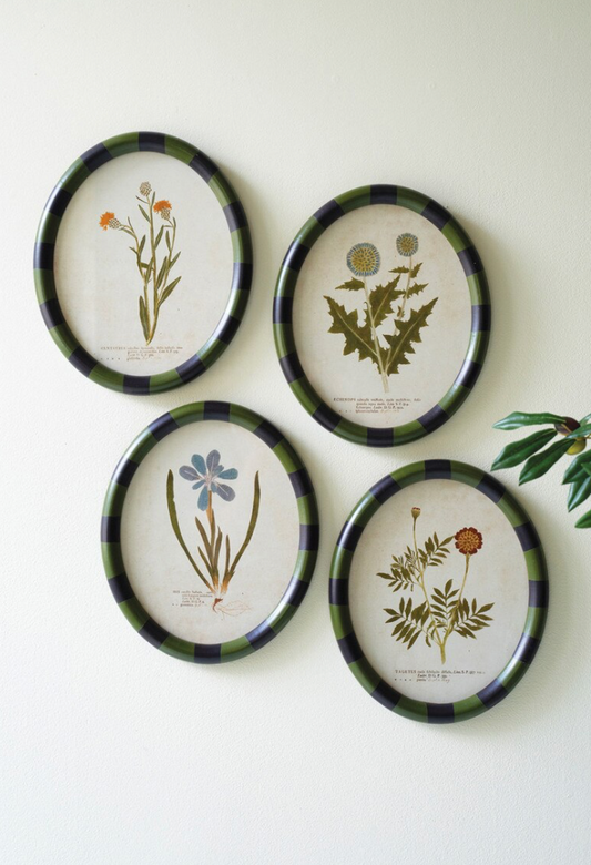 Oval Framed Flower Prints