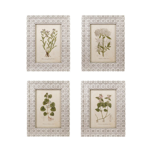 Botanical print with patterned frame, 4 Styles