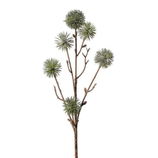 Ball Thistle Stem